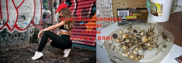 MDMA Лагань