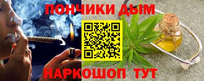 амф Дубна