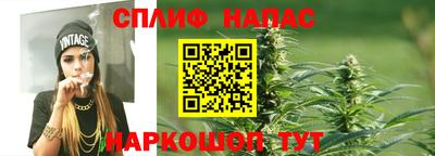 apvp Гусиноозёрск