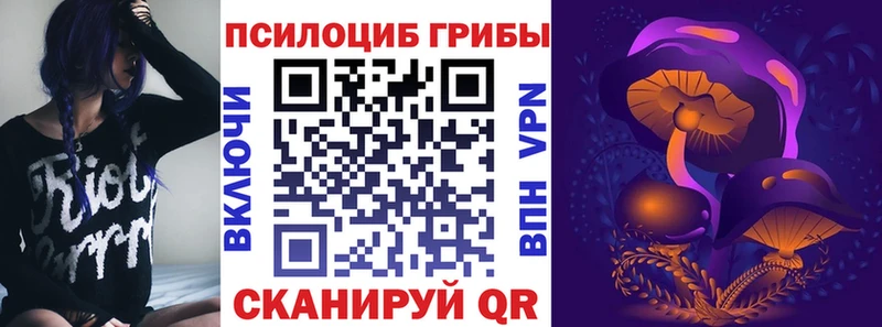 где купить   Новотроицк  Галлюциногенные грибы Psilocybine cubensis 